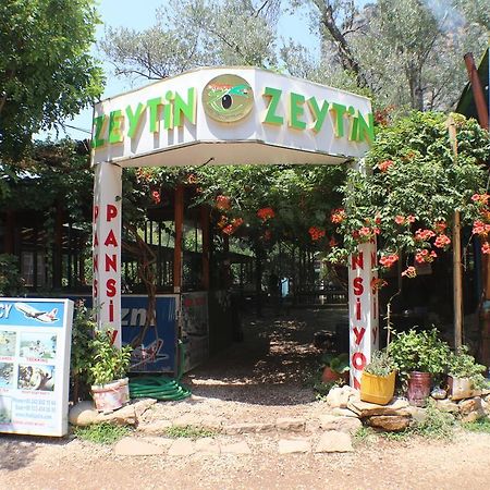 Bed and Breakfast Olympos Zeytin Exterior foto