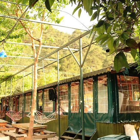 Bed and Breakfast Olympos Zeytin Exterior foto