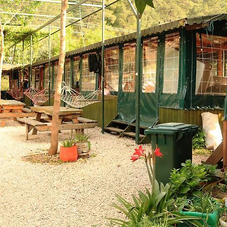 Bed and Breakfast Olympos Zeytin Exterior foto