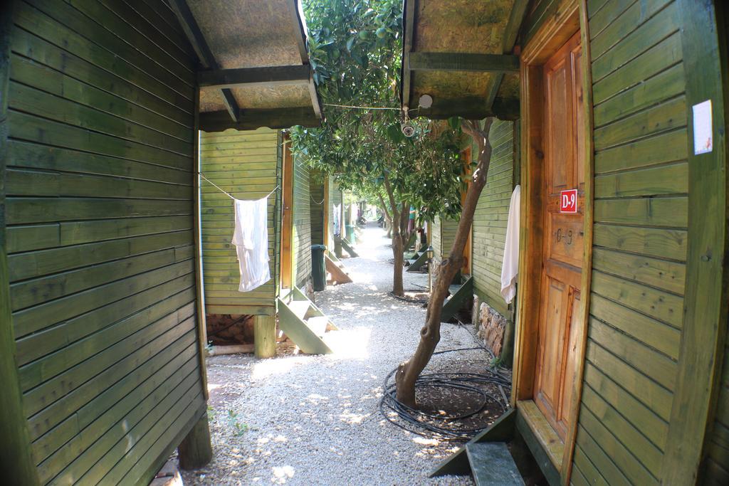 Bed and Breakfast Olympos Zeytin Exterior foto
