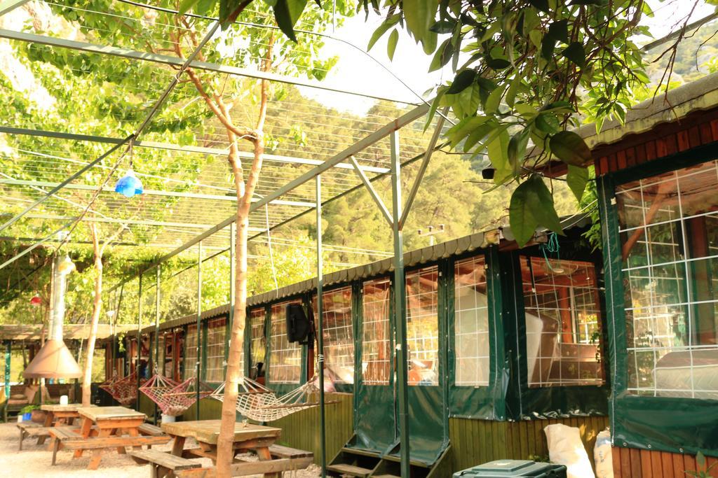 Bed and Breakfast Olympos Zeytin Exterior foto
