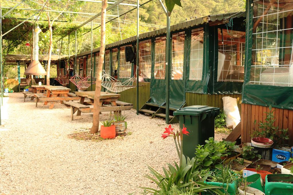 Bed and Breakfast Olympos Zeytin Exterior foto