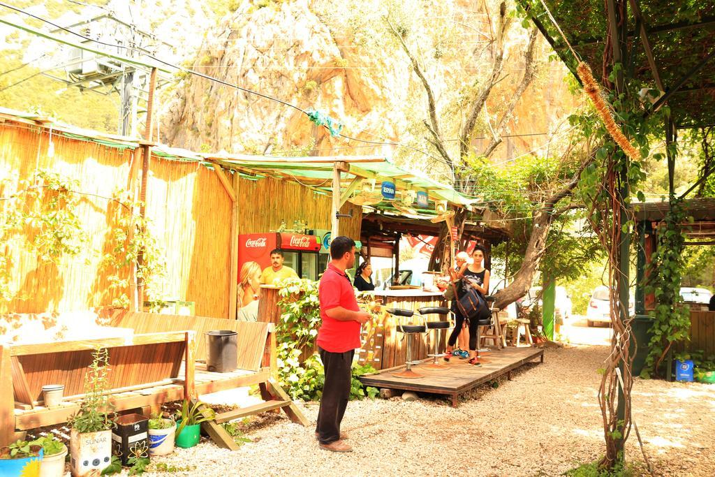 Bed and Breakfast Olympos Zeytin Exterior foto