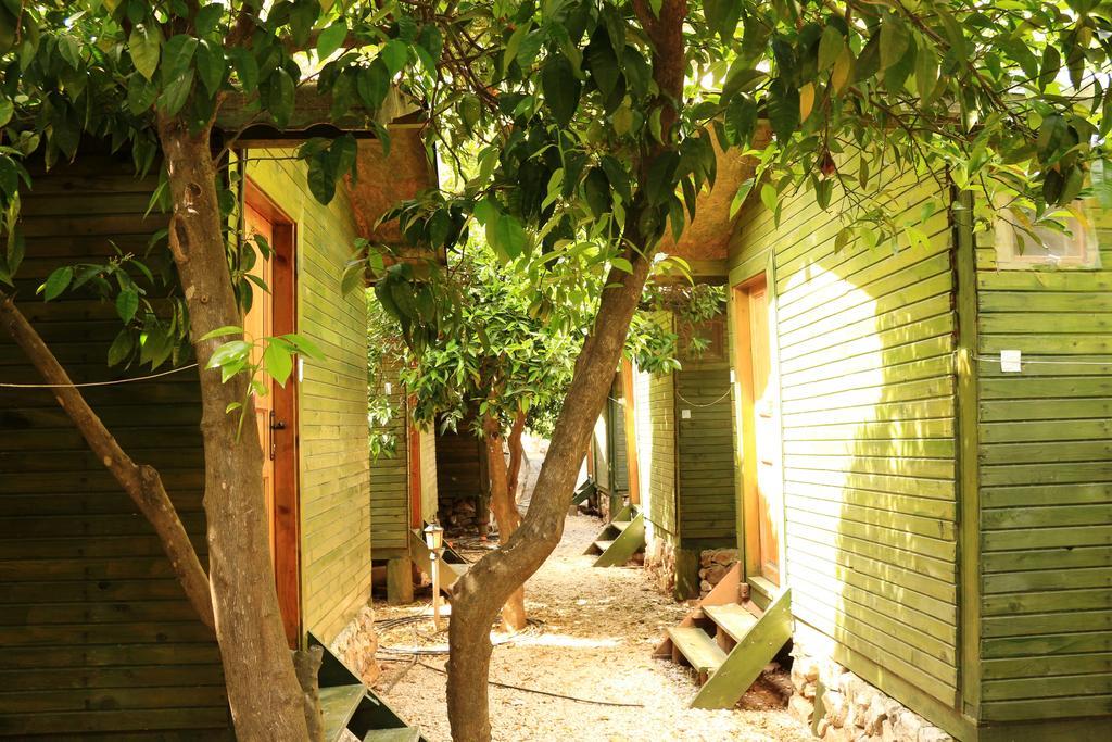 Bed and Breakfast Olympos Zeytin Exterior foto