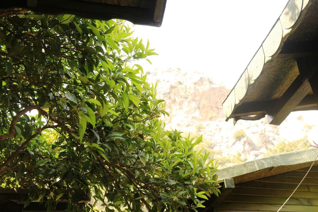 Bed and Breakfast Olympos Zeytin Exterior foto